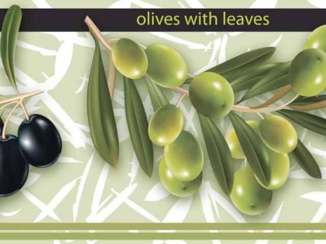 Оливки, листья