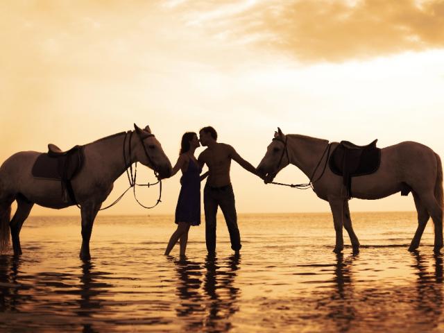 Лошади, влюблённые, закат