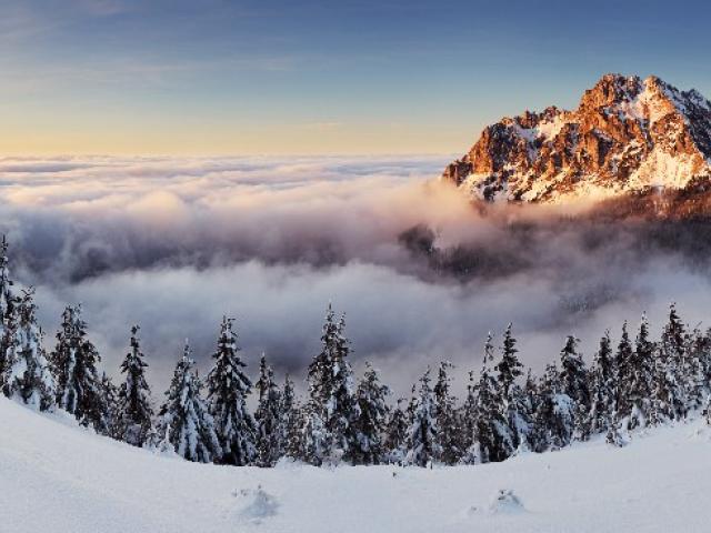 Горы и заснеженный лес, вид над облаками
