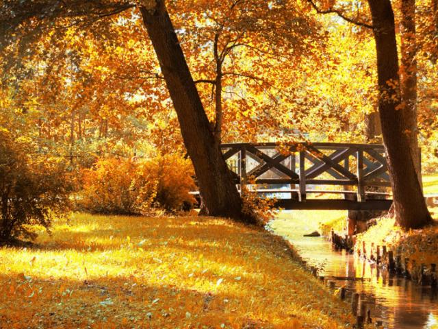 Осень в парке, мостик