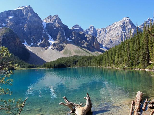 Озеро Морейн, горы, лес, Канада