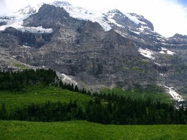 Панорама, горный и лесной массив