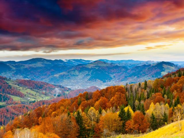Смешанный осенний лес, горная цепь