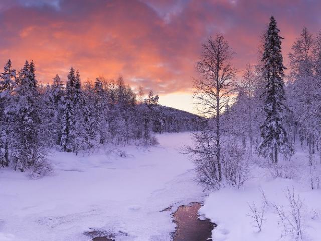 Зимний лес, замёрзшая река